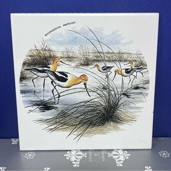 Ceramic 8x8 Avocet Bird Art Tile Trivet Mexico Recurvirostra Americana - Picture 3 of 7